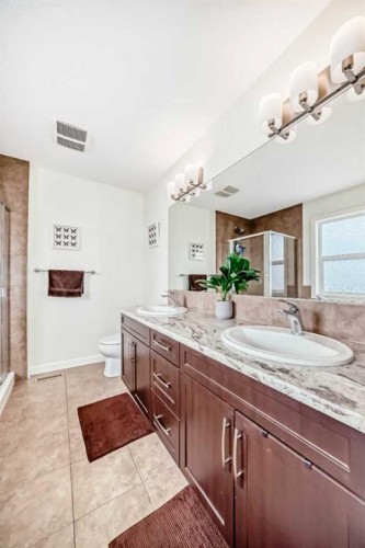 33 Redstone Drive Ne, Calgary, AB - Indoor Photo Showing Bathroom