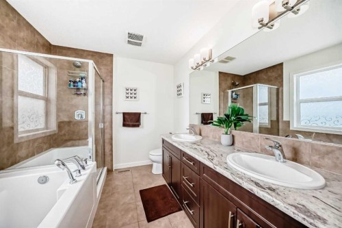33 Redstone Drive Ne, Calgary, AB - Indoor Photo Showing Bathroom