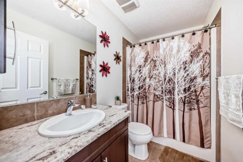 33 Redstone Drive Ne, Calgary, AB - Indoor Photo Showing Bathroom