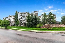 202-10 Auburn Bay Link SE Calgary, AB T3M 1Y8