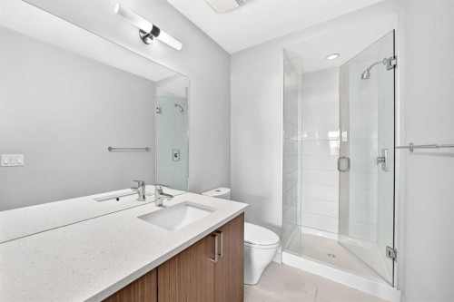 202-10 Auburn Bay Link Se, Calgary, AB - Indoor Photo Showing Bathroom