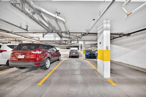 202-10 Auburn Bay Link Se, Calgary, AB - Indoor Photo Showing Garage