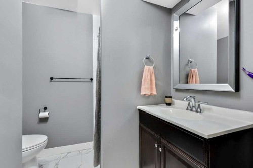 44 Falwood Crescent Ne, Calgary, AB - Indoor Photo Showing Bathroom