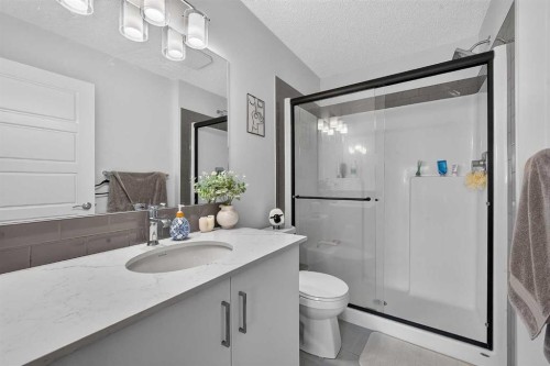 433-301 Redstone Boulevard Ne, Calgary, AB - Indoor Photo Showing Bathroom
