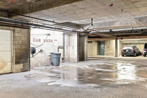209-59 22 Avenue Sw, Calgary, AB - Indoor Photo Showing Garage