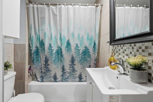 289 Taralake Terrace Ne, Calgary, AB - Indoor Photo Showing Bathroom