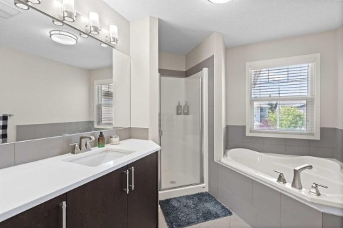 39 Brightoncrest Point Se, Calgary, AB - Indoor Photo Showing Bathroom