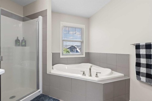 39 Brightoncrest Point Se, Calgary, AB - Indoor Photo Showing Bathroom