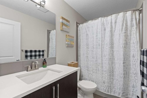 39 Brightoncrest Point Se, Calgary, AB - Indoor Photo Showing Bathroom