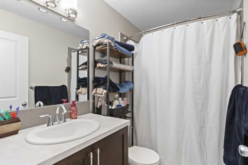 39 Brightoncrest Point Se, Calgary, AB - Indoor Photo Showing Bathroom