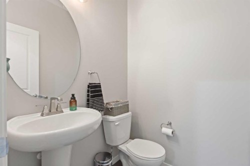 39 Brightoncrest Point Se, Calgary, AB - Indoor Photo Showing Bathroom