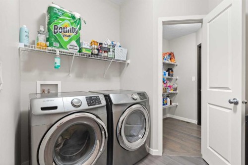 39 Brightoncrest Point Se, Calgary, AB - Indoor Photo Showing Laundry Room