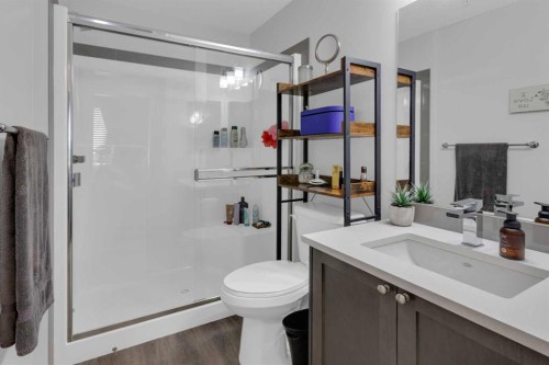 101-30 Shawnee Common Sw, Calgary, AB - Indoor Photo Showing Bathroom