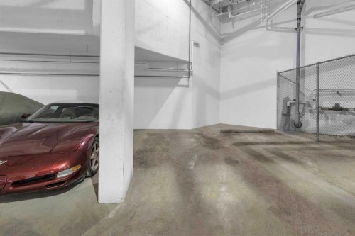 101-30 Shawnee Common Sw, Calgary, AB - Indoor Photo Showing Garage