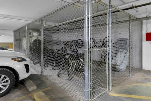 101-30 Shawnee Common Sw, Calgary, AB - Indoor Photo Showing Garage