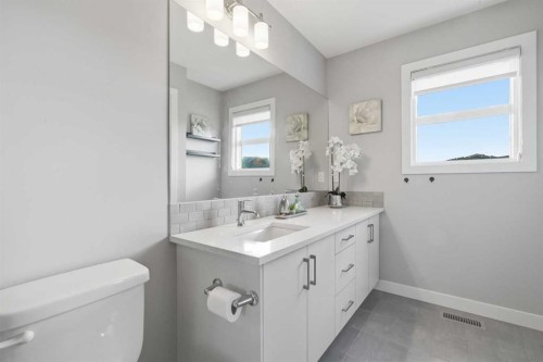 21 Howse Street Ne, Calgary, AB - Indoor Photo Showing Bathroom