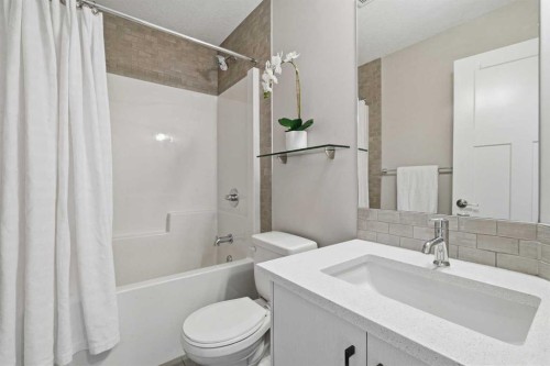 21 Howse Street Ne, Calgary, AB - Indoor Photo Showing Bathroom