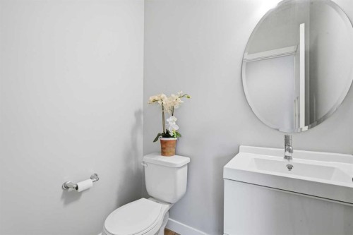 21 Howse Street Ne, Calgary, AB - Indoor Photo Showing Bathroom