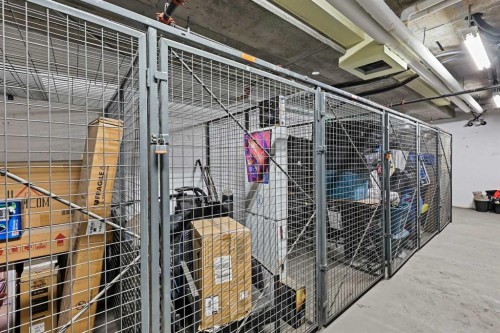 2903-310 12 Avenue Sw, Calgary, AB - Indoor With Storage