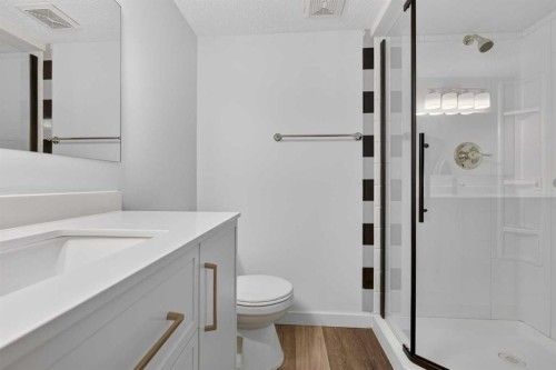 925 Erin Woods Drive Se, Calgary, AB - Indoor Photo Showing Bathroom
