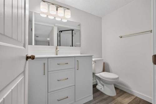 925 Erin Woods Drive Se, Calgary, AB - Indoor Photo Showing Bathroom