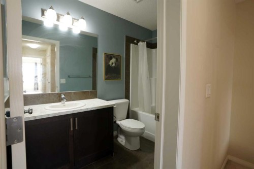 149 Walden Parade Se, Calgary, AB - Indoor Photo Showing Bathroom