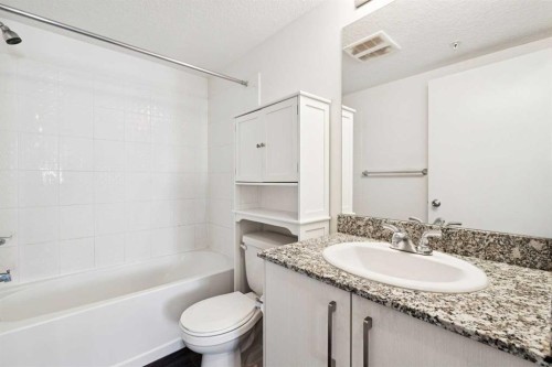 2407-4641 128 Avenue Ne, Calgary, AB - Indoor Photo Showing Bathroom