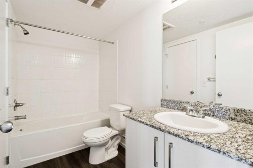 2407-4641 128 Avenue Ne, Calgary, AB - Indoor Photo Showing Bathroom