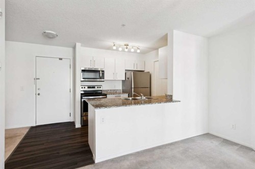 2407-4641 128 Avenue Ne, Calgary, AB - Indoor Photo Showing Kitchen With Double Sink