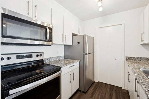 2407-4641 128 Avenue Ne, Calgary, AB - Indoor Photo Showing Kitchen