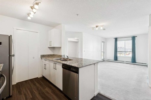 2407-4641 128 Avenue Ne, Calgary, AB - Indoor Photo Showing Kitchen With Double Sink With Upgraded Kitchen
