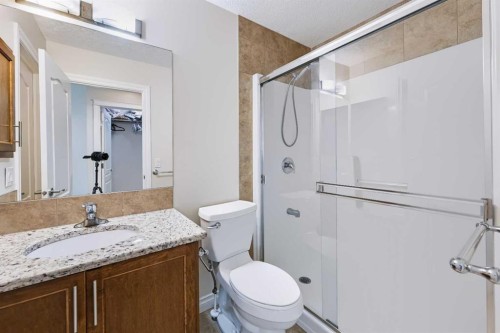 8245 Saddlebrook Drive Ne, Calgary, AB - Indoor Photo Showing Bathroom