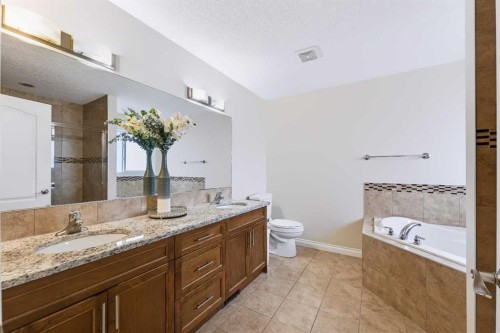 8245 Saddlebrook Drive Ne, Calgary, AB - Indoor Photo Showing Bathroom