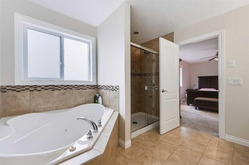 8245 Saddlebrook Drive Ne, Calgary, AB - Indoor Photo Showing Bathroom