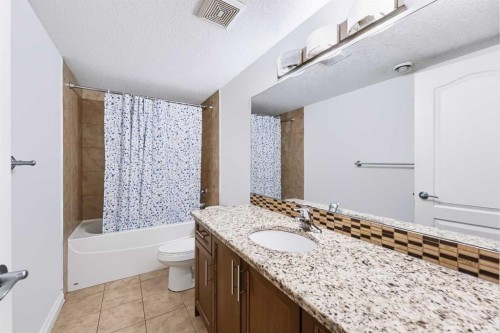 8245 Saddlebrook Drive Ne, Calgary, AB - Indoor Photo Showing Bathroom