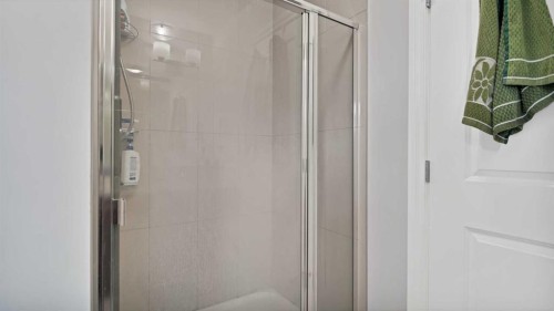 149 Saddlestone Drive Ne, Calgary, AB - Indoor Photo Showing Bathroom