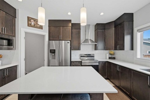 194 Cornerstone Road Ne, Calgary, AB - Indoor Photo Showing Kitchen With Stainless Steel Kitchen With Upgraded Kitchen