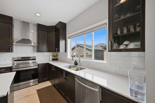 194 Cornerstone Road Ne, Calgary, AB - Indoor Photo Showing Kitchen With Stainless Steel Kitchen With Double Sink With Upgraded Kitchen