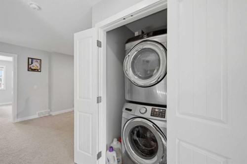 194 Cornerstone Road Ne, Calgary, AB - Indoor Photo Showing Laundry Room