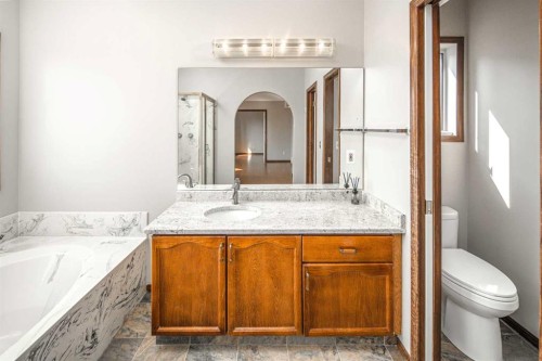 131 Edgebrook Close Nw, Calgary, AB - Indoor Photo Showing Bathroom