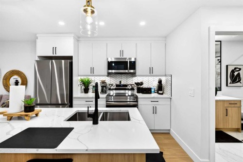 236 30 Avenue Ne, Calgary, AB - Indoor Photo Showing Kitchen With Double Sink With Upgraded Kitchen