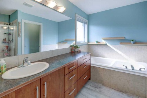 242 Crystal Green Point, Okotoks, AB - Indoor Photo Showing Bathroom