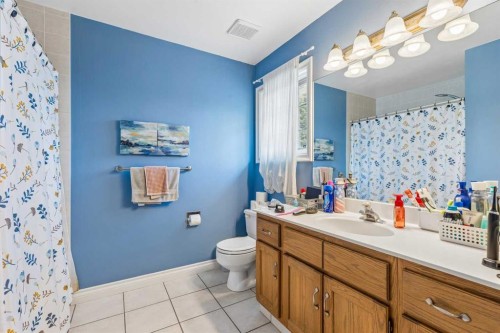 684 Sunmills Drive Se, Calgary, AB - Indoor Photo Showing Bathroom