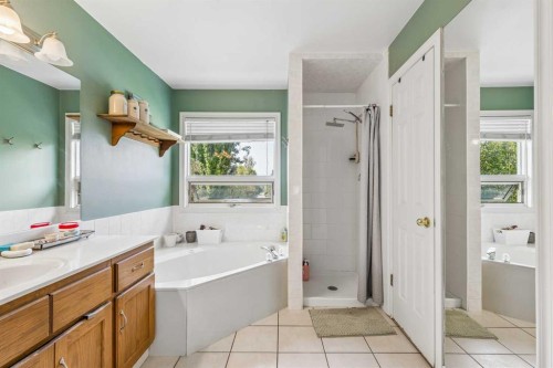 684 Sunmills Drive Se, Calgary, AB - Indoor Photo Showing Bathroom