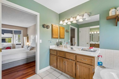 684 Sunmills Drive Se, Calgary, AB - Indoor Photo Showing Bathroom