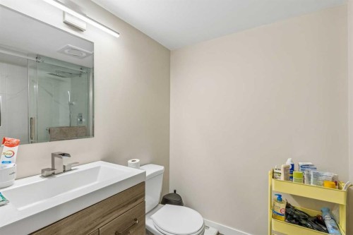 684 Sunmills Drive Se, Calgary, AB - Indoor Photo Showing Bathroom