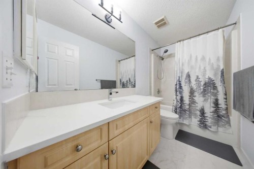 19 Martha'S Meadow Close Ne, Calgary, AB - Indoor Photo Showing Bathroom