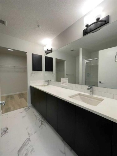 2304-42 Cranbrook Gardens Se, Calgary, AB - Indoor Photo Showing Bathroom