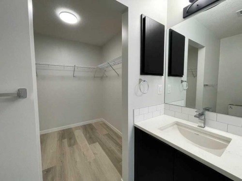 2304-42 Cranbrook Gardens Se, Calgary, AB - Indoor Photo Showing Bathroom