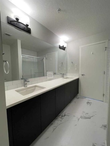 2304-42 Cranbrook Gardens Se, Calgary, AB - Indoor Photo Showing Bathroom